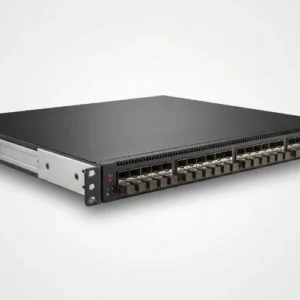 RDP AI networking — InfiniBand/RoCE switch