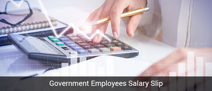 Government employees salary slip 
